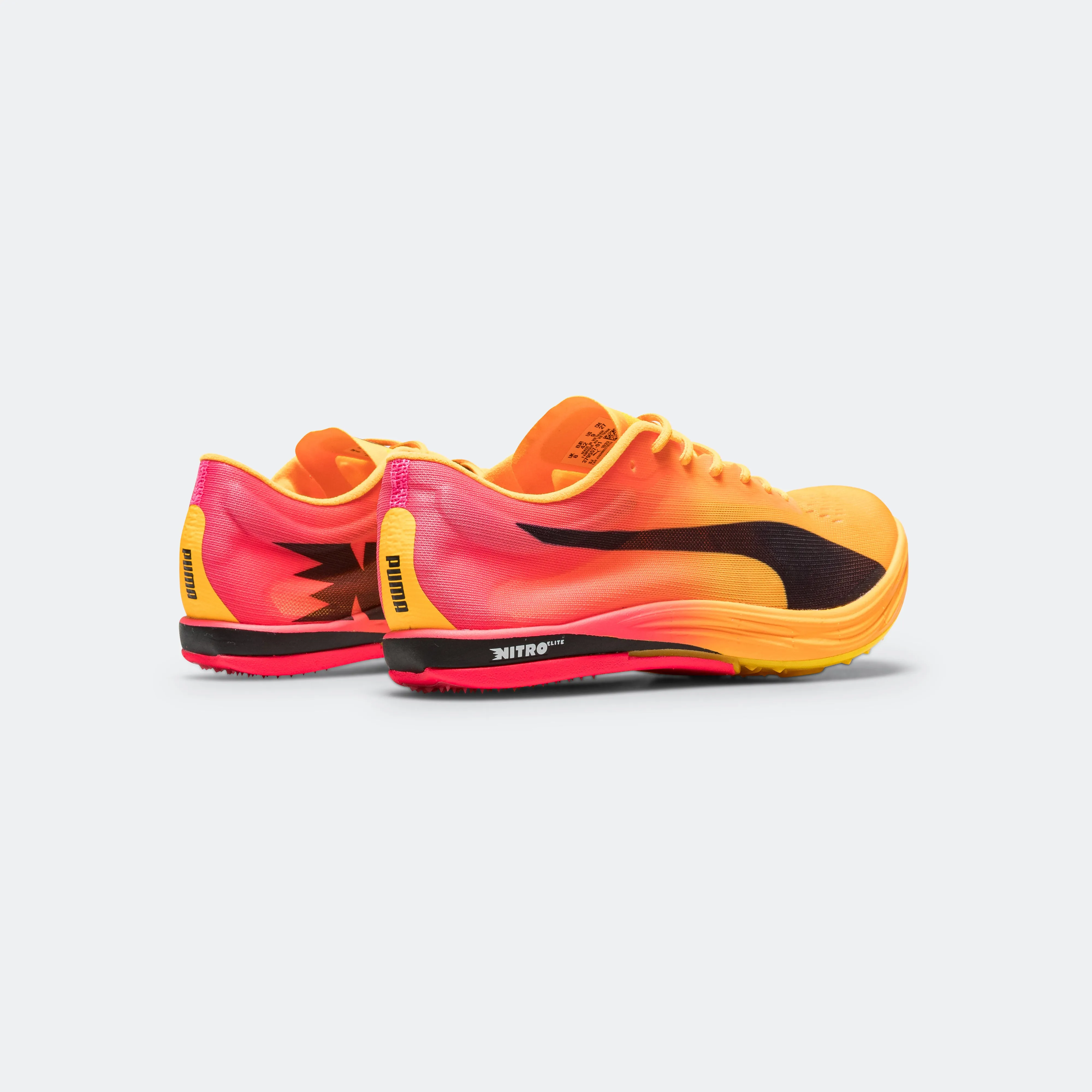 evoSPEED Long Distance NITRO Elite 2 - Sun Stream/Sunset Glow