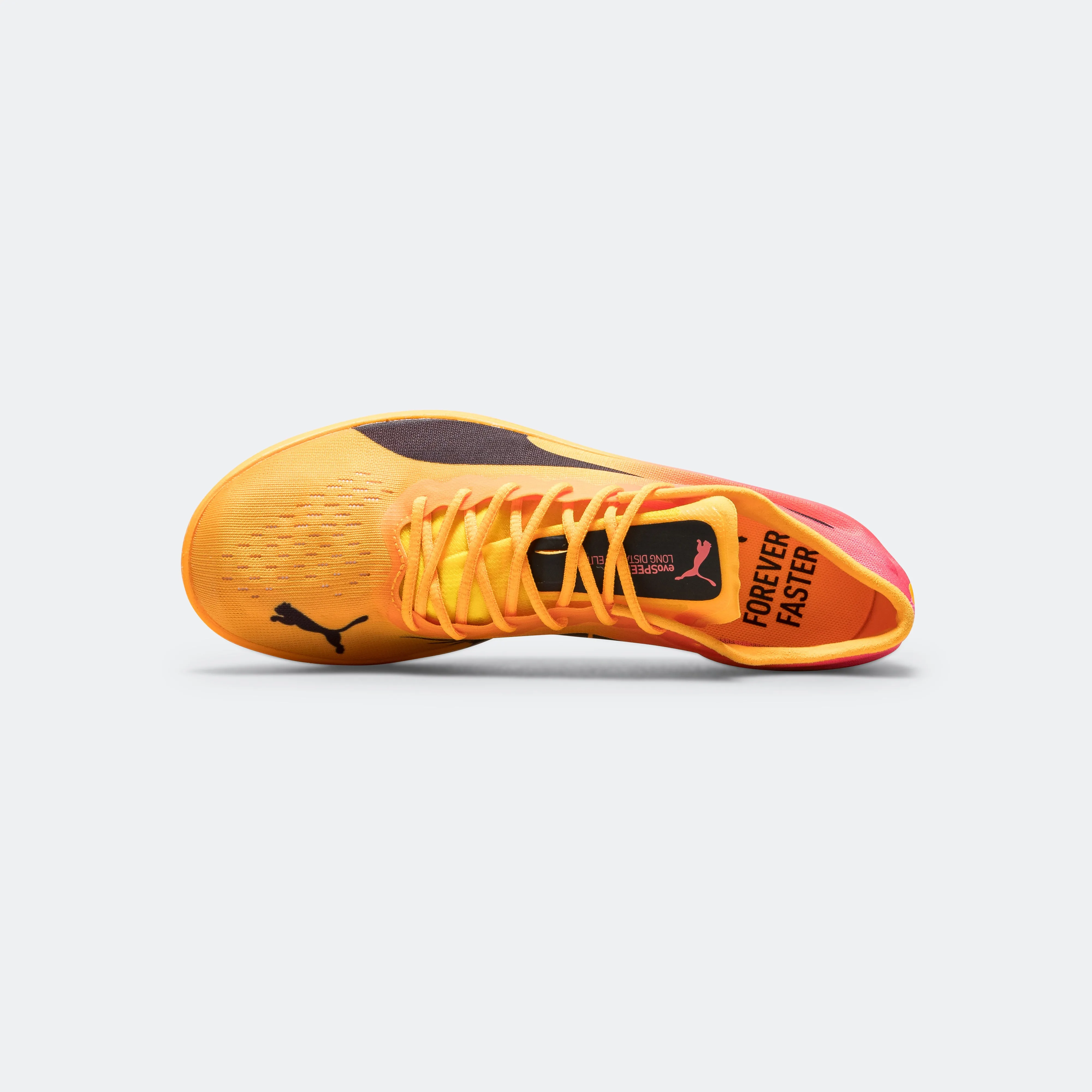 evoSPEED Long Distance NITRO Elite 2 - Sun Stream/Sunset Glow