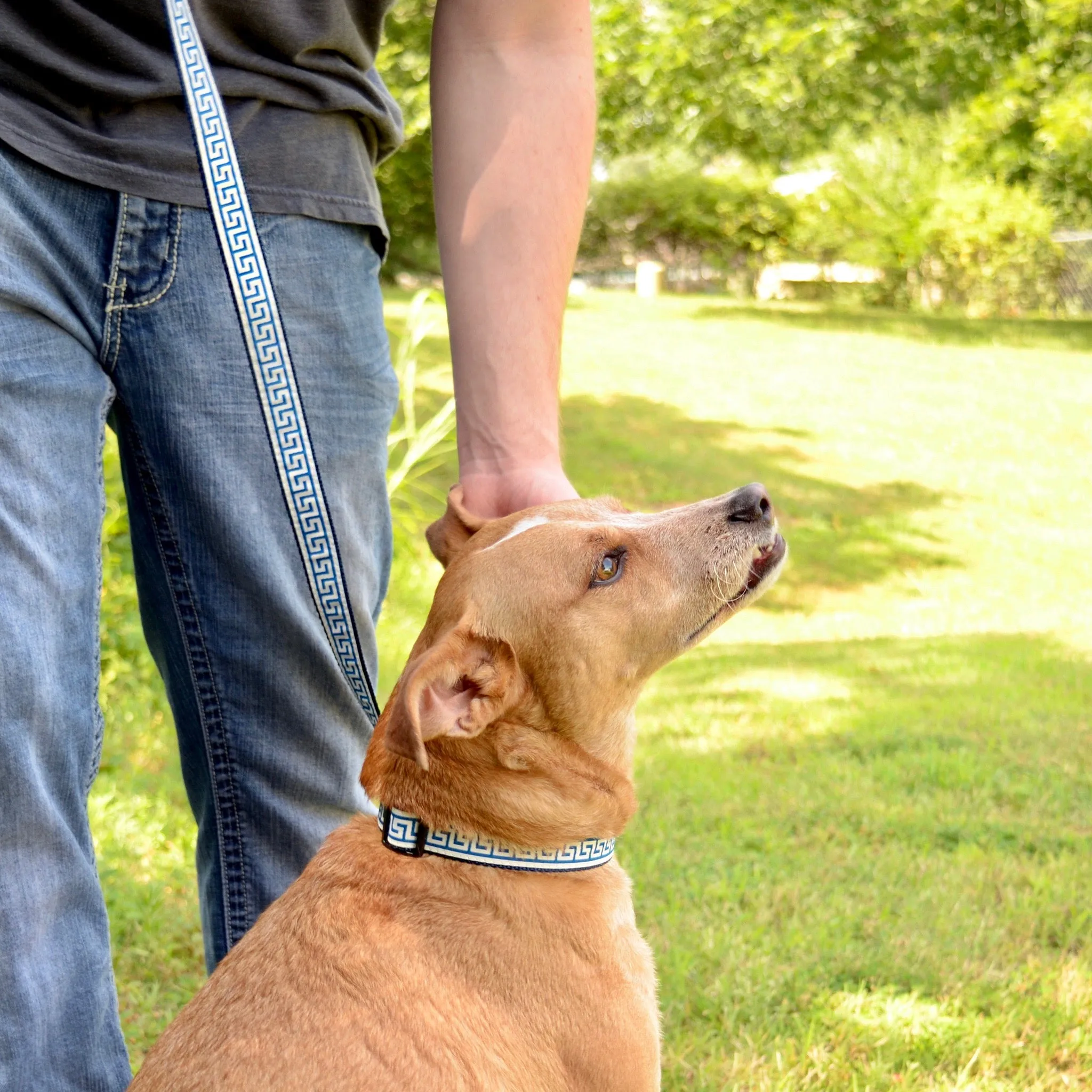 National Archives Heavy Duty Pet Leash